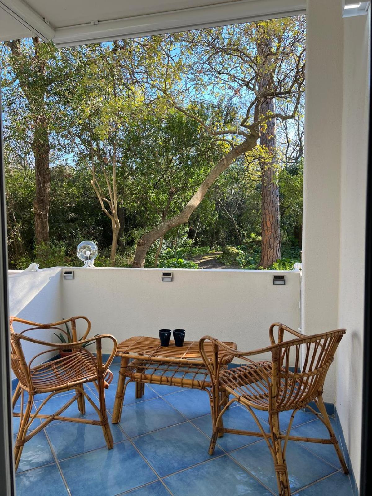 Casa Vacanza Imparo B&B イスキア島 エクステリア 写真