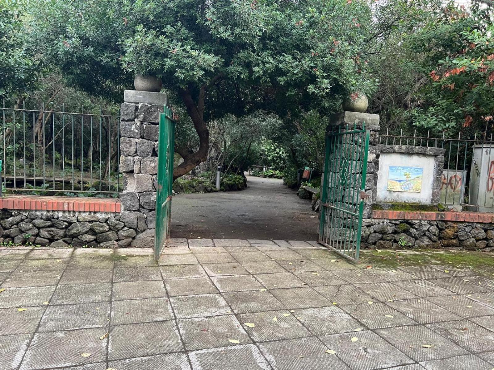 Casa Vacanza Imparo B&B イスキア島 エクステリア 写真